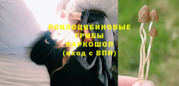 MDMA Михайловка
