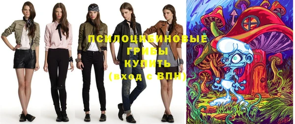 дурь Ахтубинск