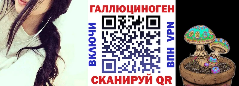 Псилоцибиновые грибы Psilocybine cubensis Осташков