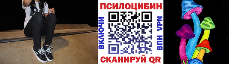 Галлюциногенные грибы мицелий Осташков